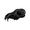 3D-printed fox skull for self-painting (16cm)